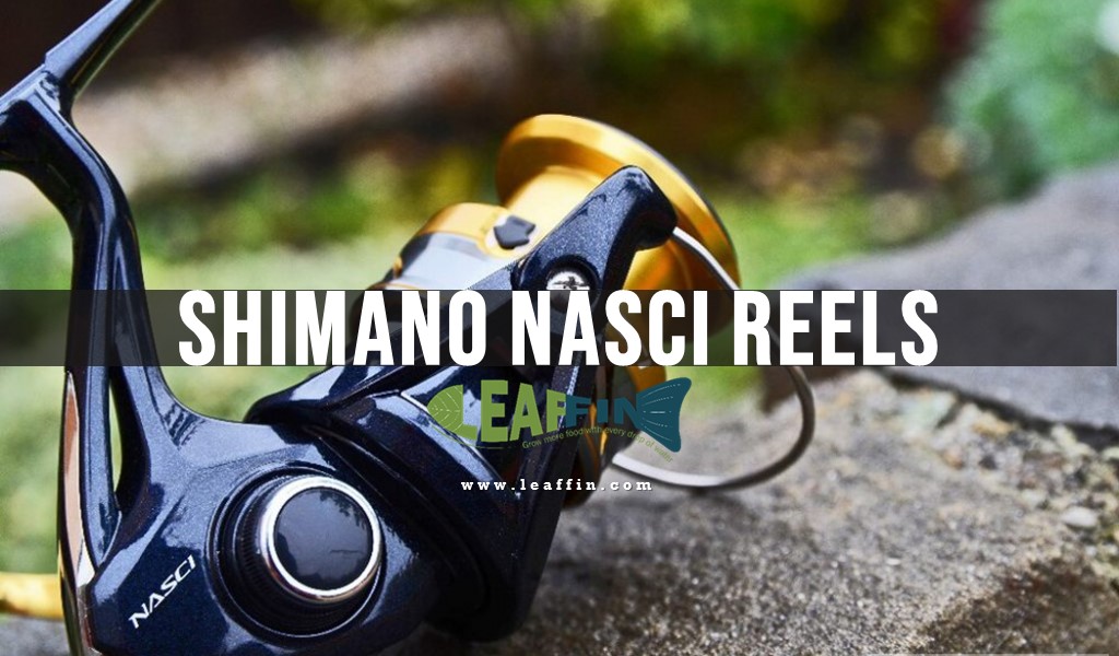 Shimano Nasci Compact 5000XGFC Spinning Reel