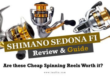 Shimano Sedona FI Review