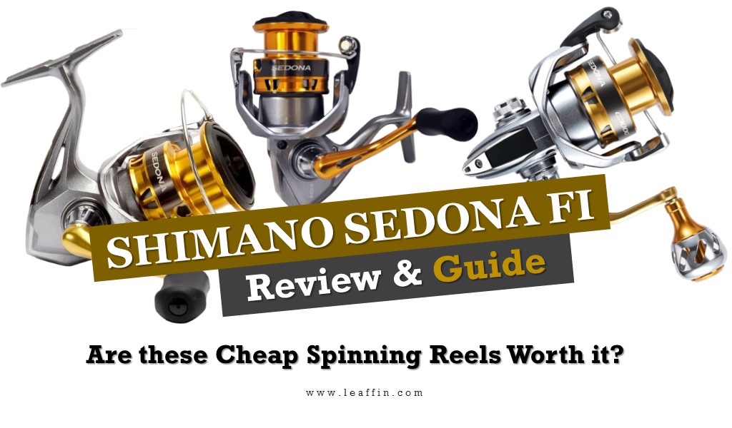 Shimano Sedona Reviewed & Compared: What's New in FI Reel Series?