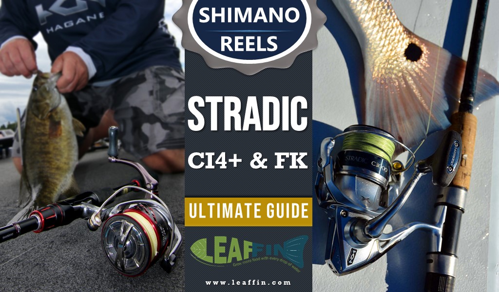 Shimano Stradic review