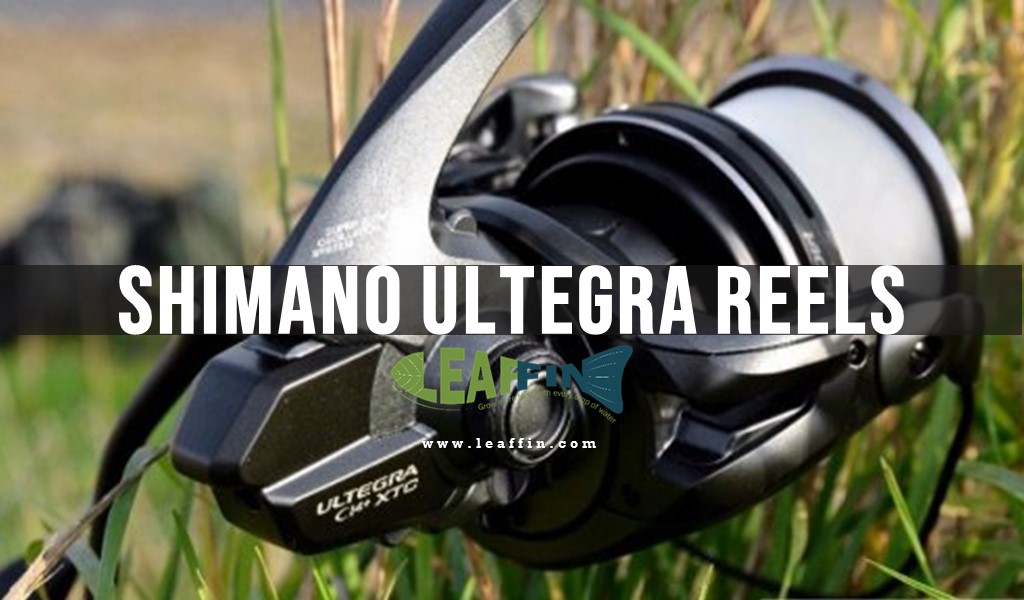 Shimano Ultegra Reels Review