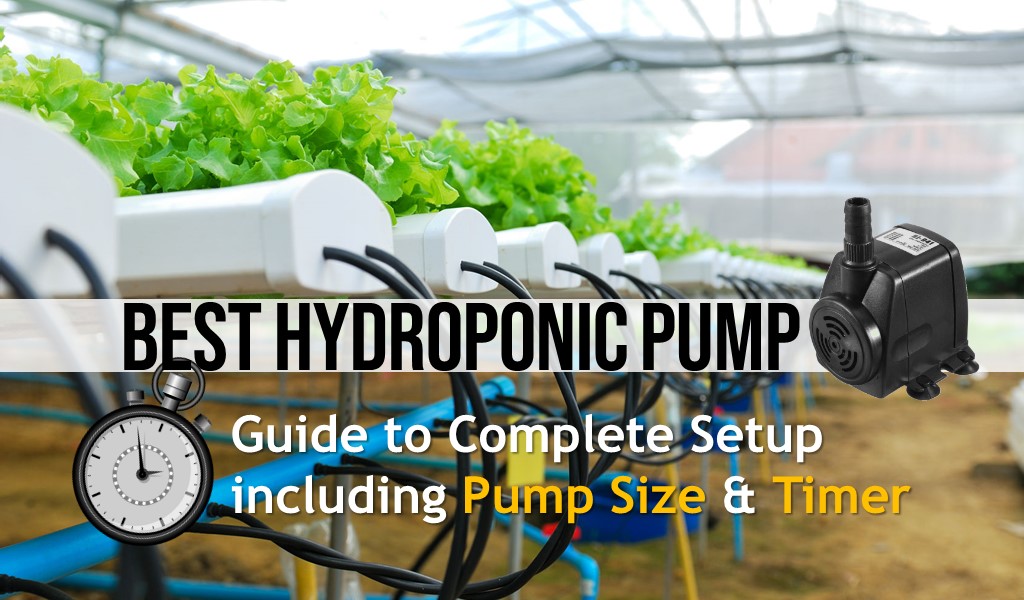 water pump for hydroponics and aquaponics
