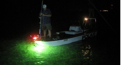 Nighttime Bluefishing