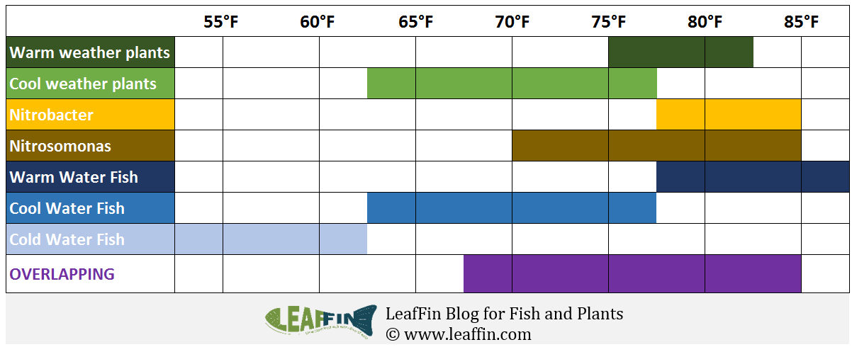 Overlapping temperature of Plants, Fish and bacteria in Aquaponics