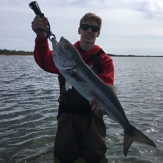 bluefish catch