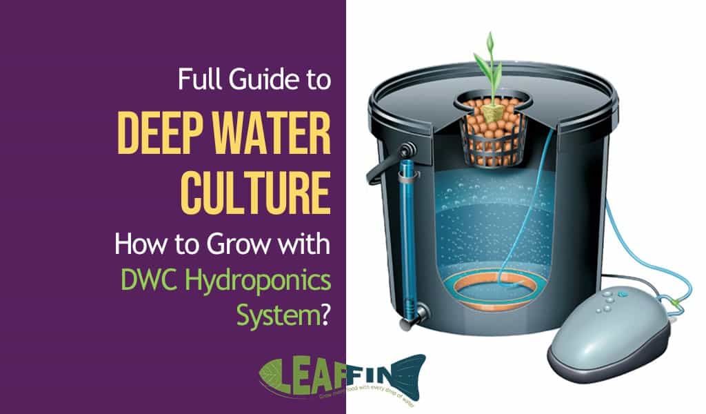 Full Guide To Getting Started With Deep Water Culture Hydroponics In 2019 - Diy Deep Water Culture System